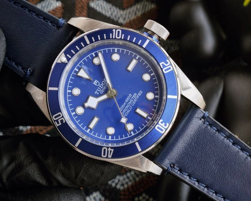 Sporty TUDOR Watches 204205