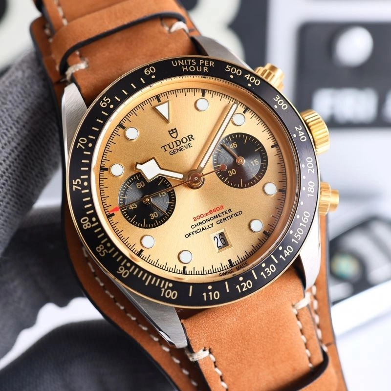 Seasonal TUDOR Watches 204190