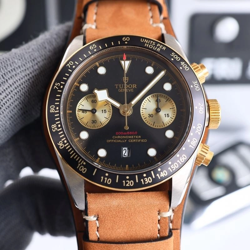 Seasonal TUDOR Watches 204190
