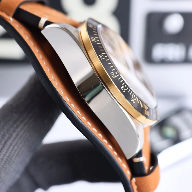 Seasonal TUDOR Watches 204190