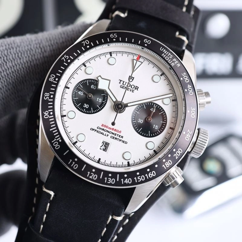 TUDOR Watches EasyCare 204210