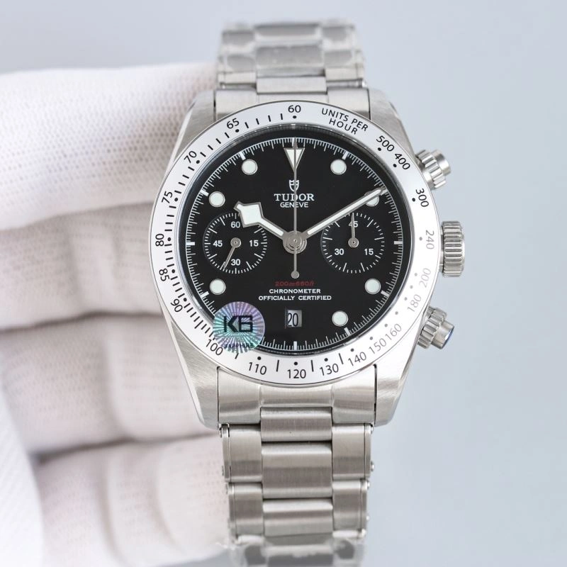 Minimalist TUDOR Watches 204209