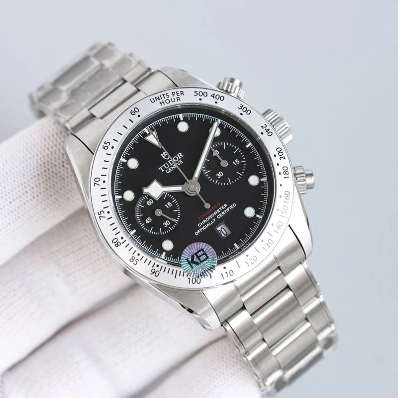 Minimalist TUDOR Watches 204209