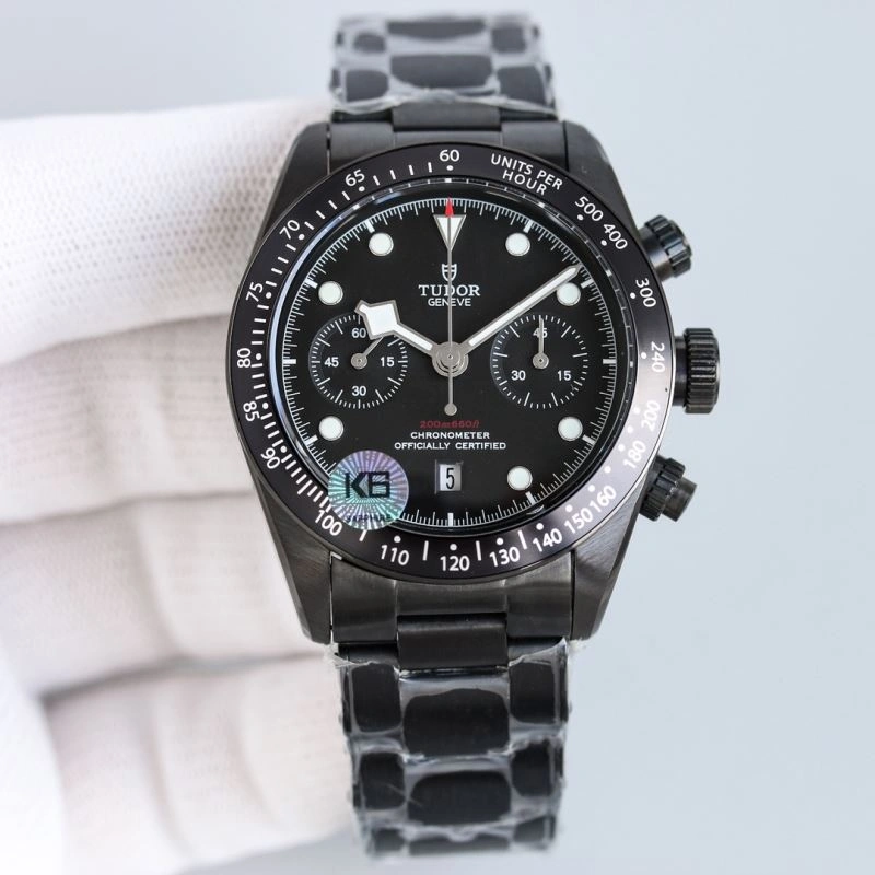 Minimalist TUDOR Watches 204209