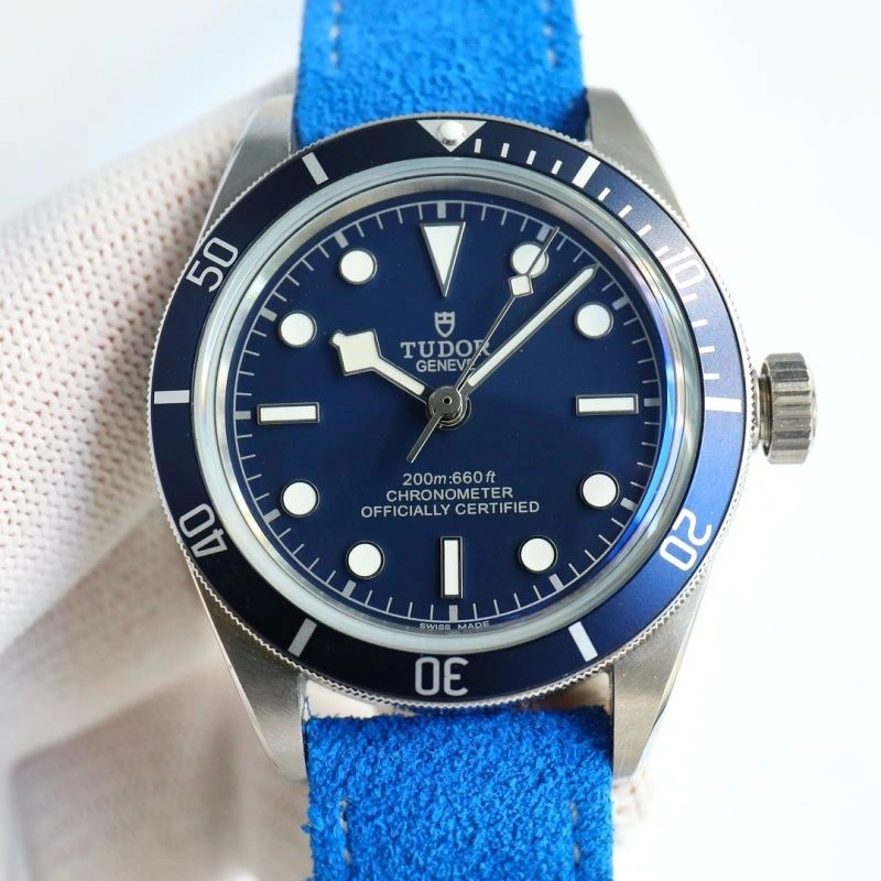 Contemporary TUDOR Watches 204177