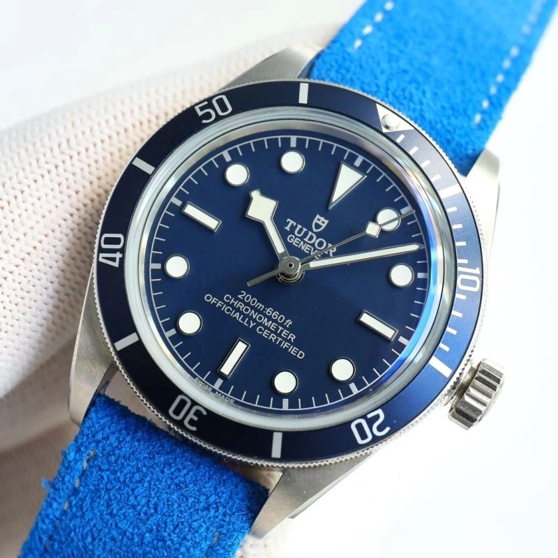 Contemporary TUDOR Watches 204177