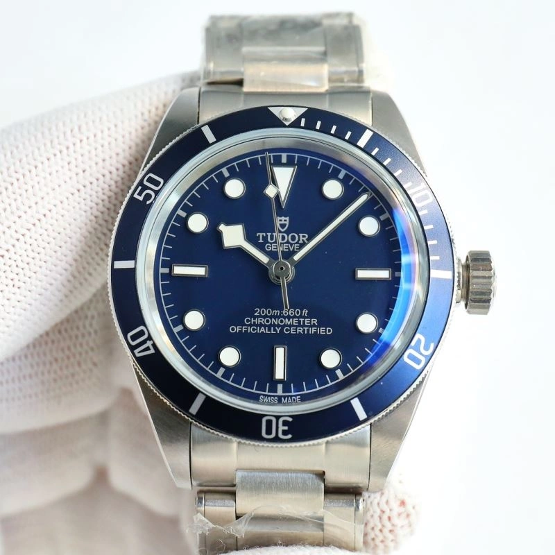 Contemporary TUDOR Watches 204177