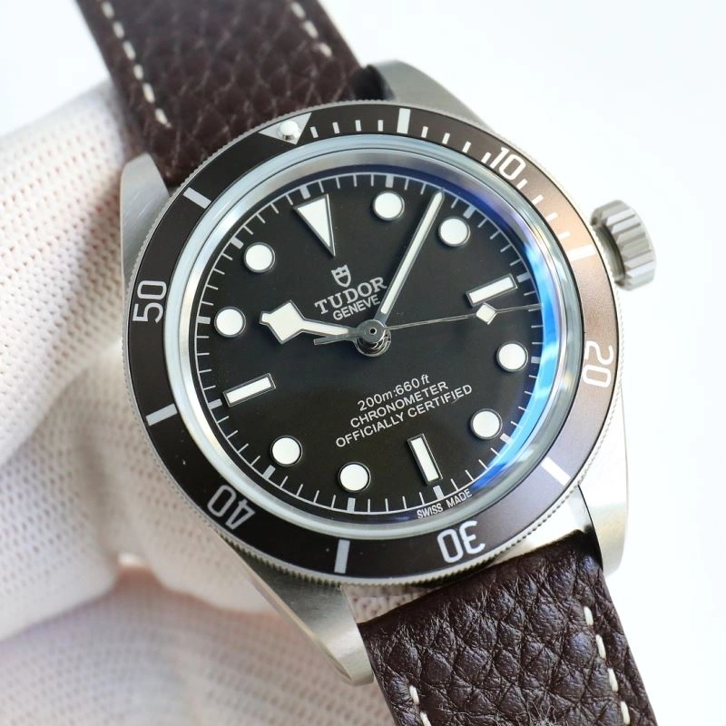 Stylish TUDOR Watches 204175