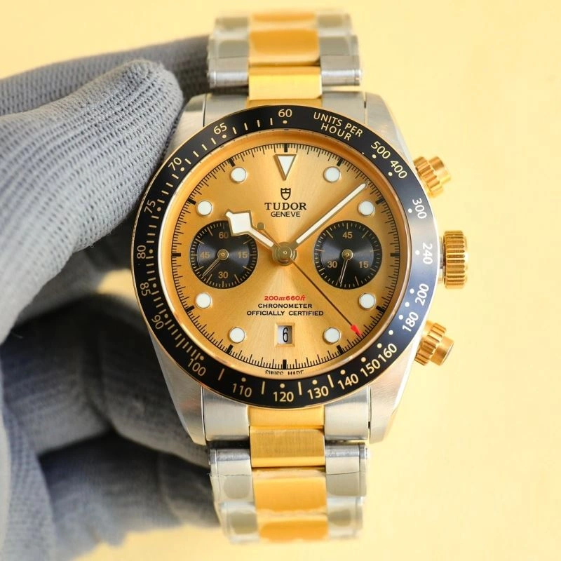 Unique TUDOR Watches 204173