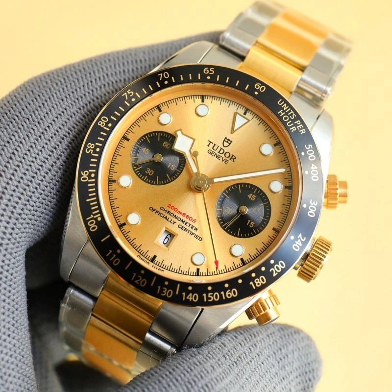 Unique TUDOR Watches 204173