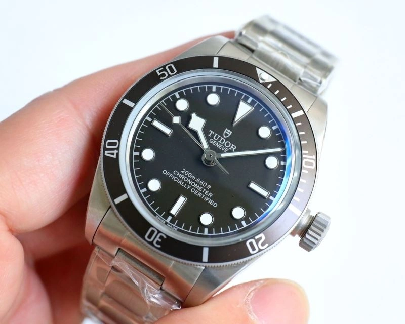 EyeCatching TUDOR Watches 204170