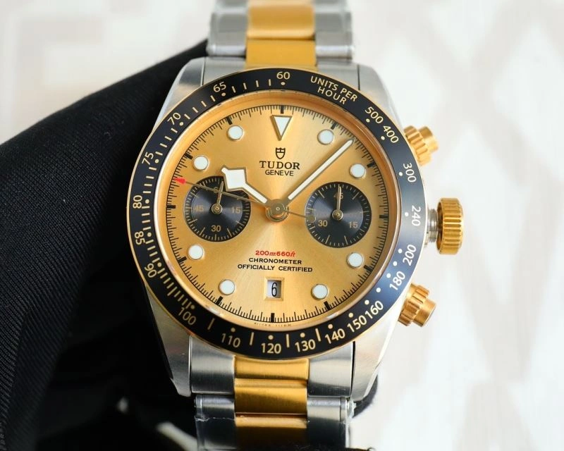 WrinkleFree TUDOR Watches 204156