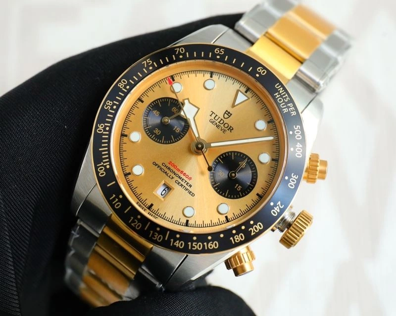 WrinkleFree TUDOR Watches 204156