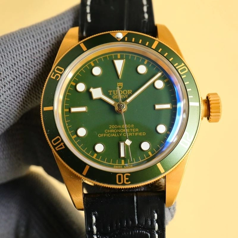 Bold TUDOR Watches 204159