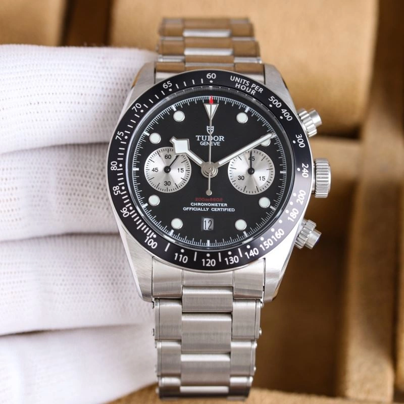 FlexibleFit TUDOR Watches 204140