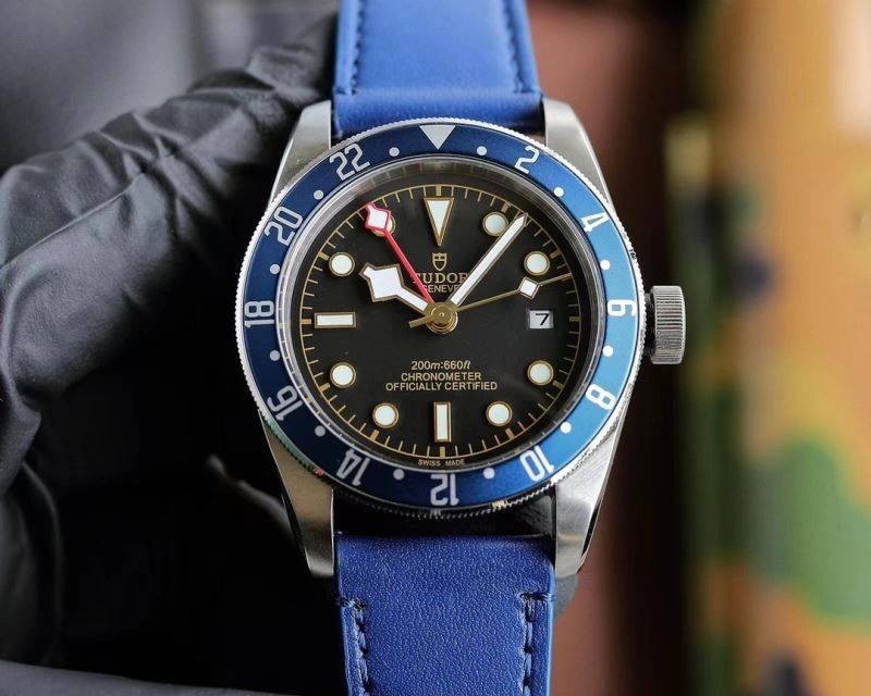 Resilient TUDOR Watches 204129