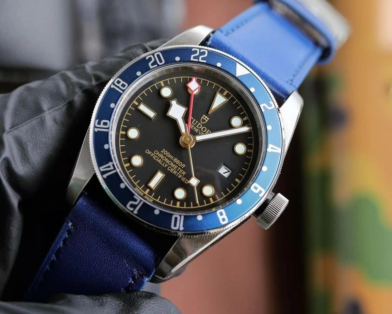 Resilient TUDOR Watches 204129