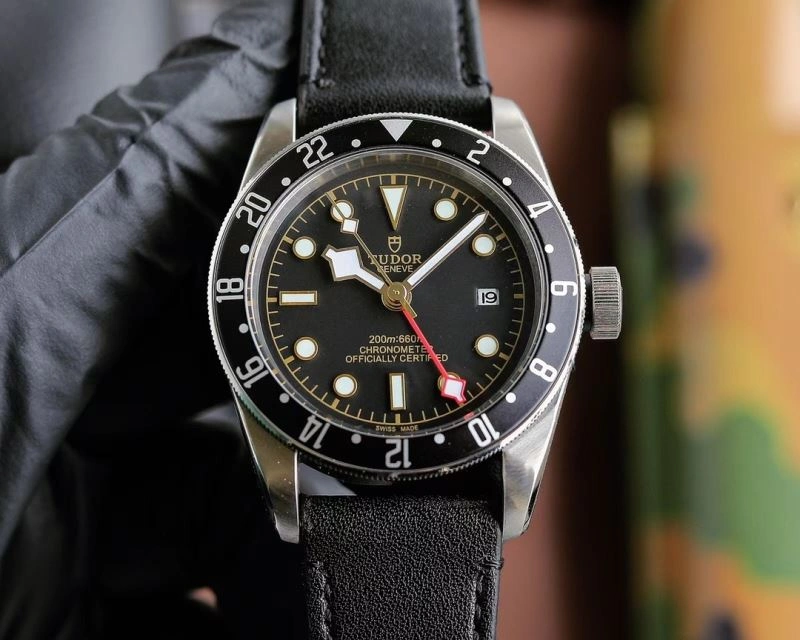 Resilient TUDOR Watches 204129