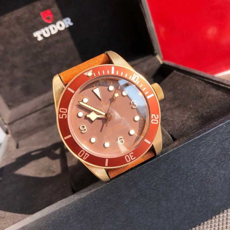 TUDOR Watches WrinkleFree 204106