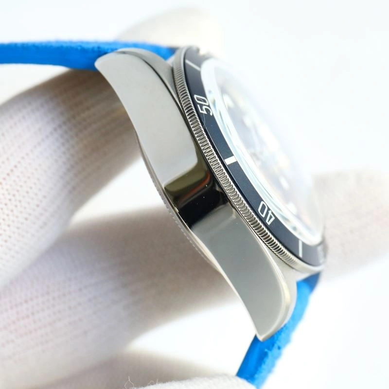 TUDOR Watches Lightweight 204111