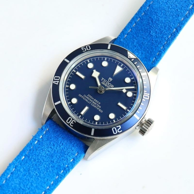 TUDOR Watches Lightweight 204111