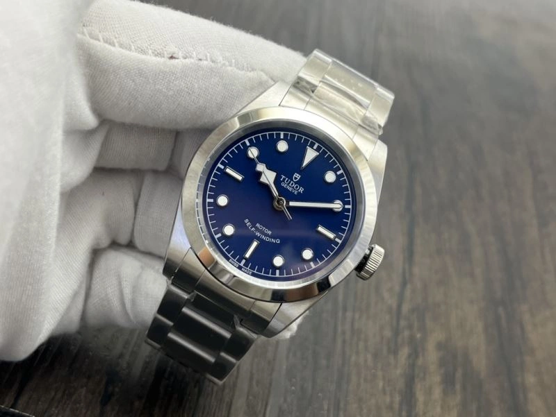 TUDOR Watches Affordable 204123