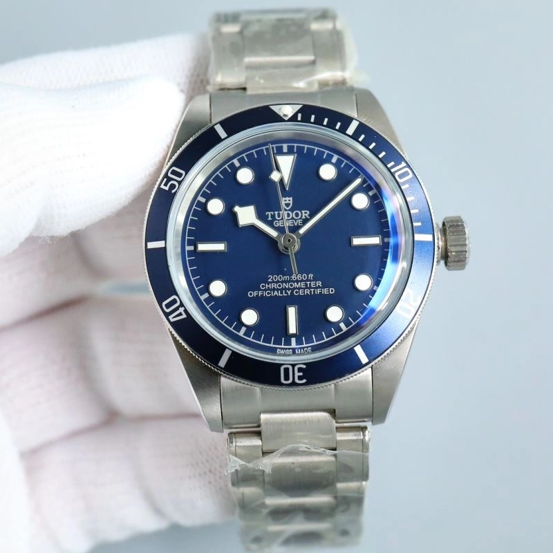 TUDOR Watches Elegant 204122