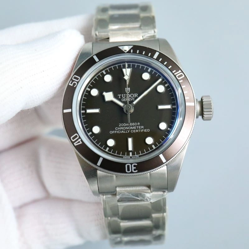 TUDOR Watches Elegant 204122