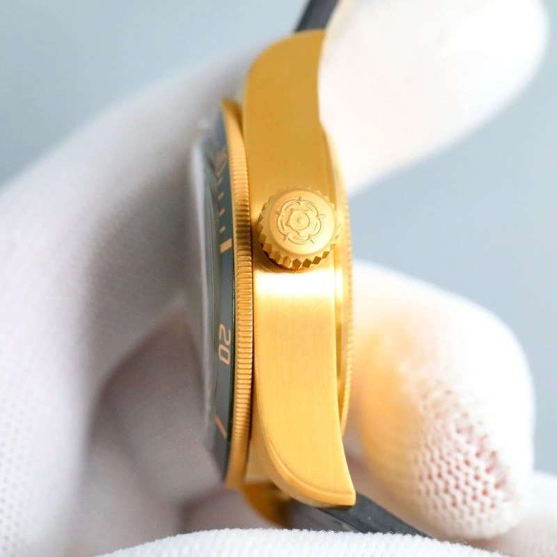 Seasonal TUDOR Watches 204110