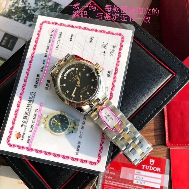 TUDOR Watches Vibrant 204121
