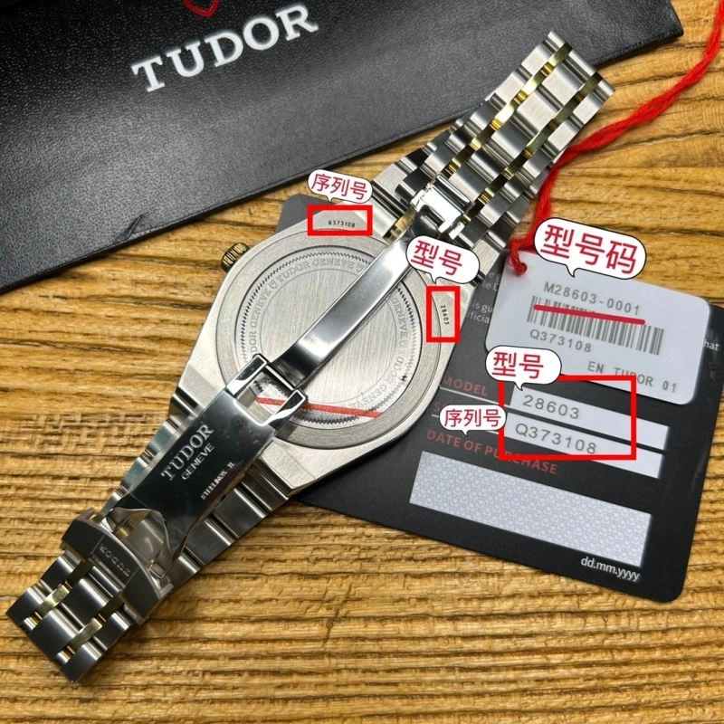 Compact TUDOR Watches 204119