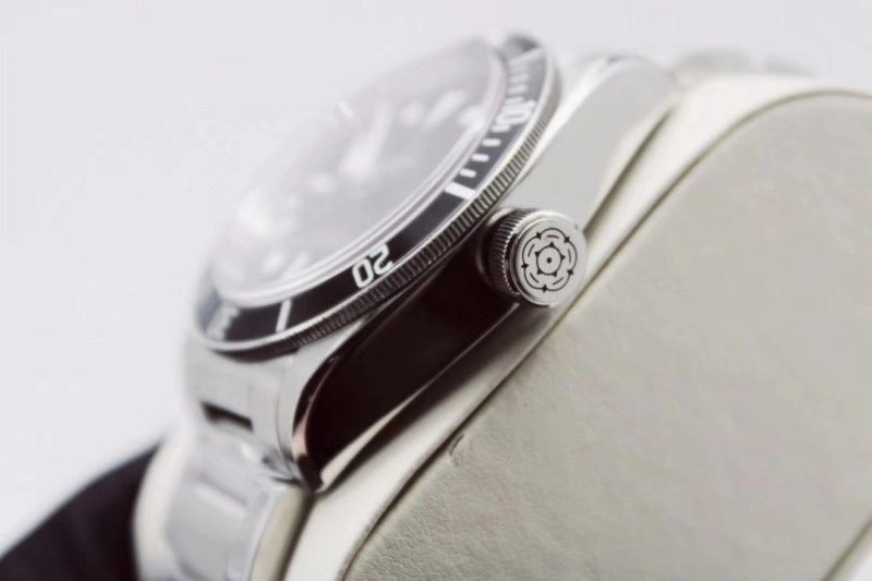 TUDOR Watches Versatile 204138