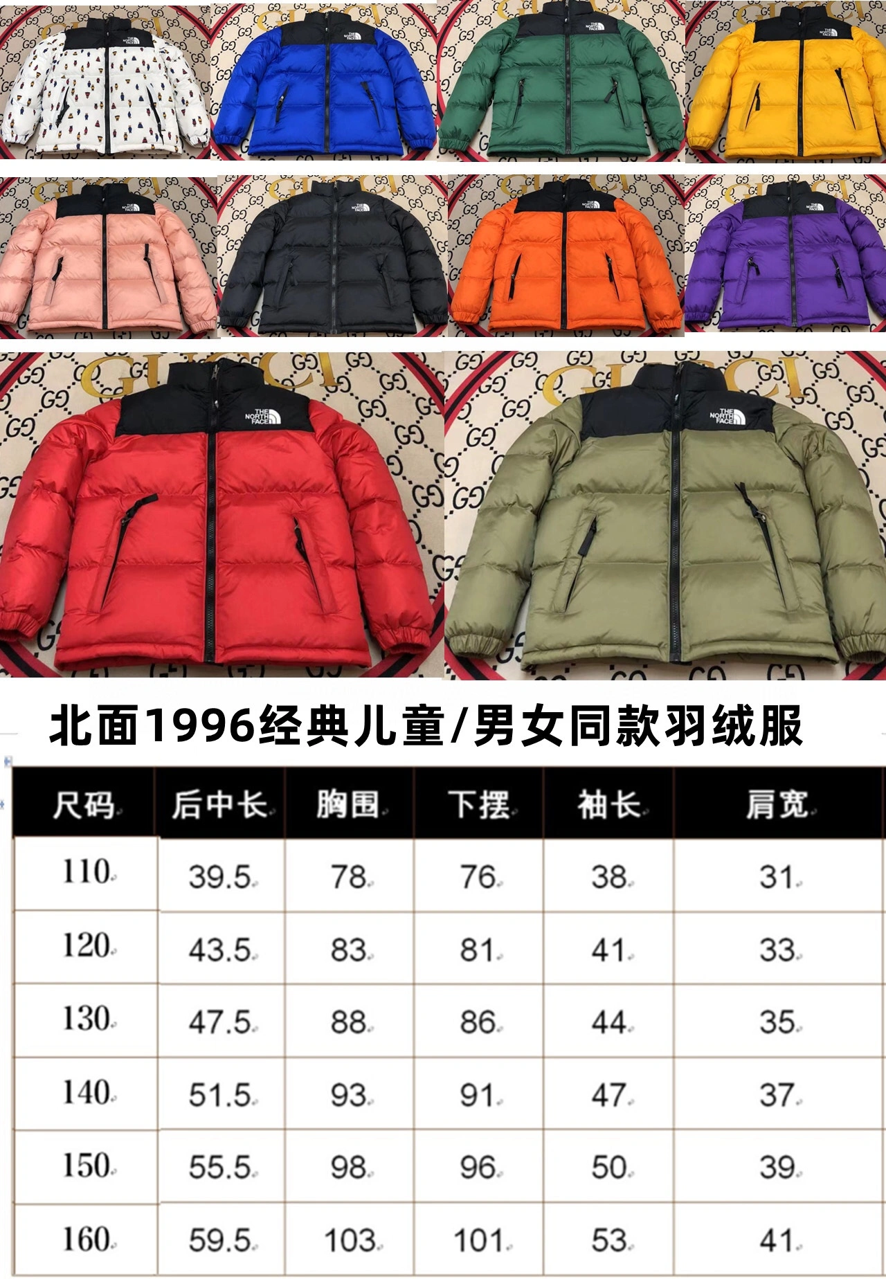 The North Face Down Jackets Premium 173245