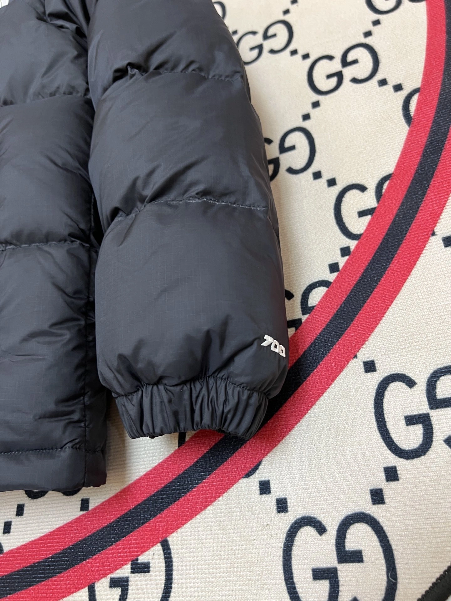 The North Face Down Jackets Resilient 173278