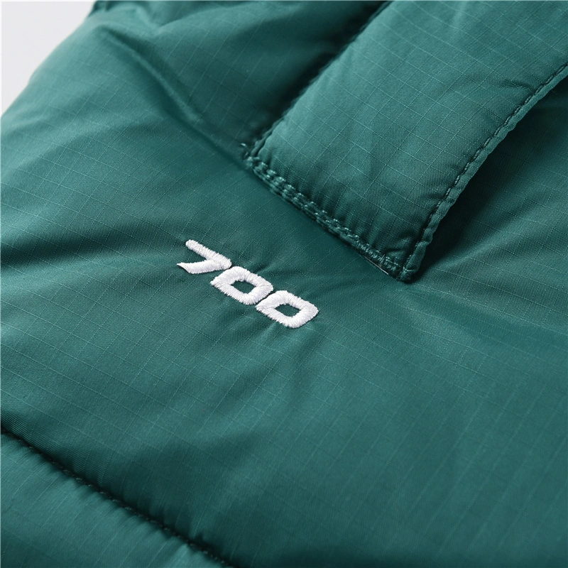 The North Face Down Jackets Vibrant 173228