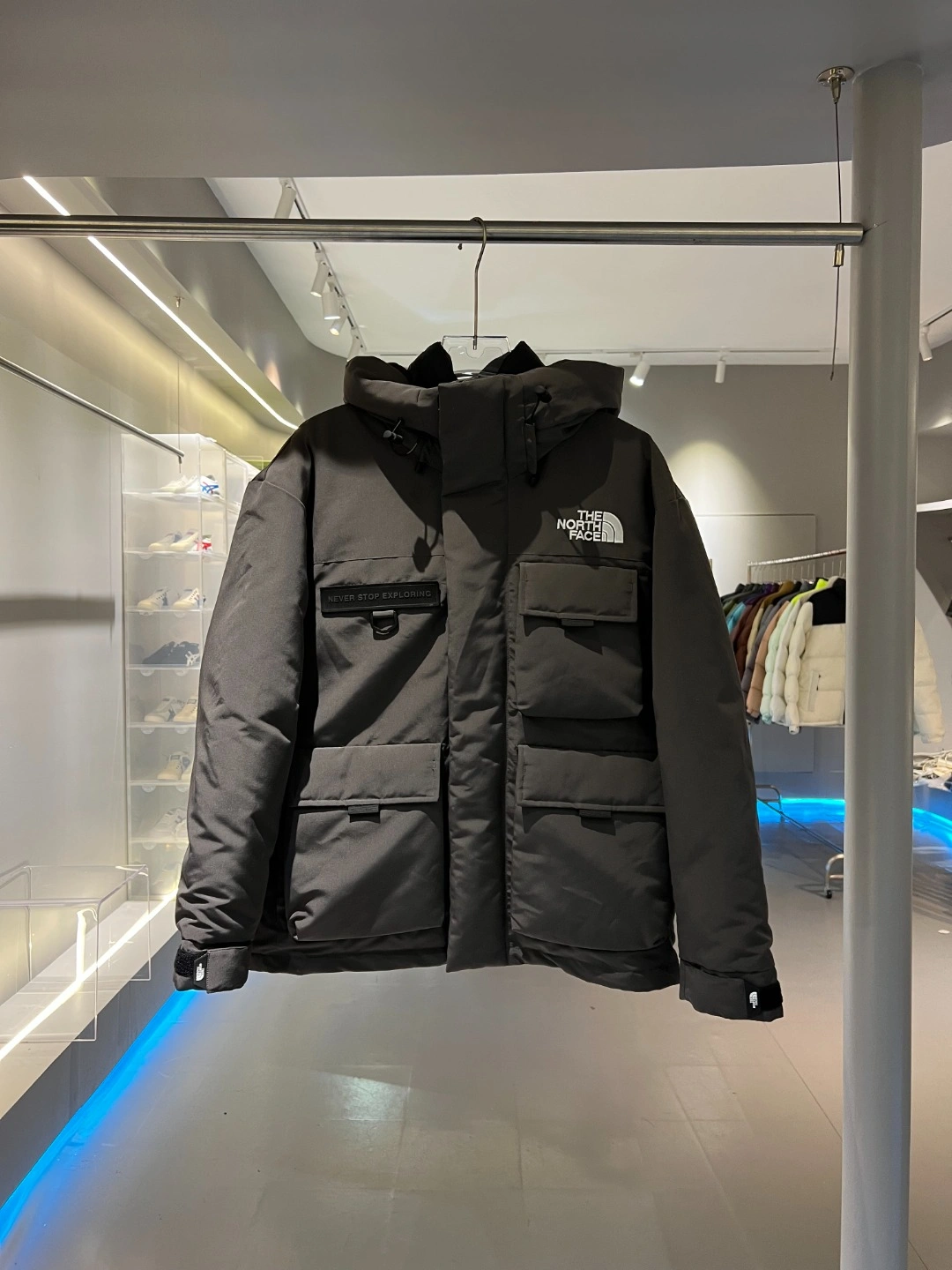 The North Face Down Jackets Vibrant 173194
