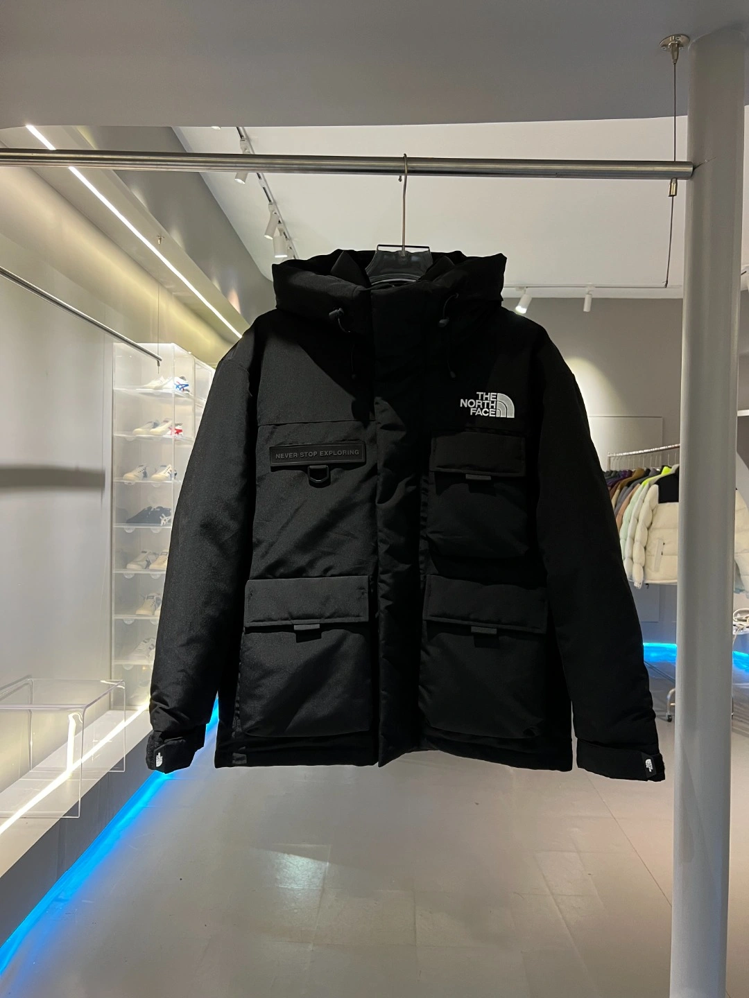 The North Face Down Jackets Youthful 173284