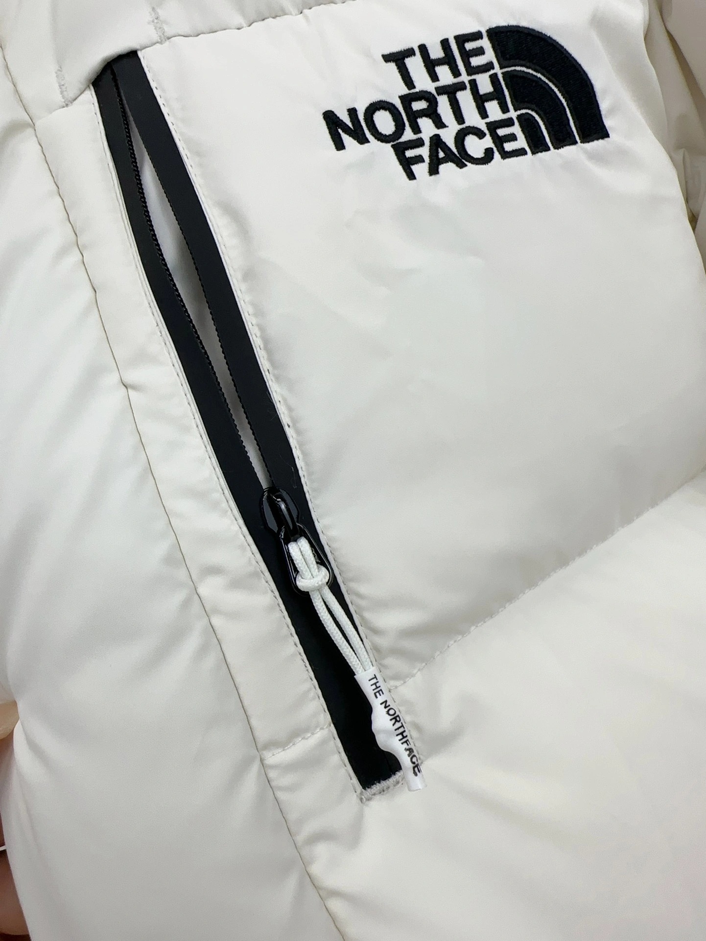 The North Face Down Jackets DailyWear 173208