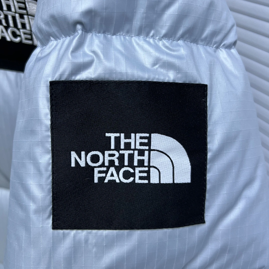 The North Face Down Jackets Resilient 173192