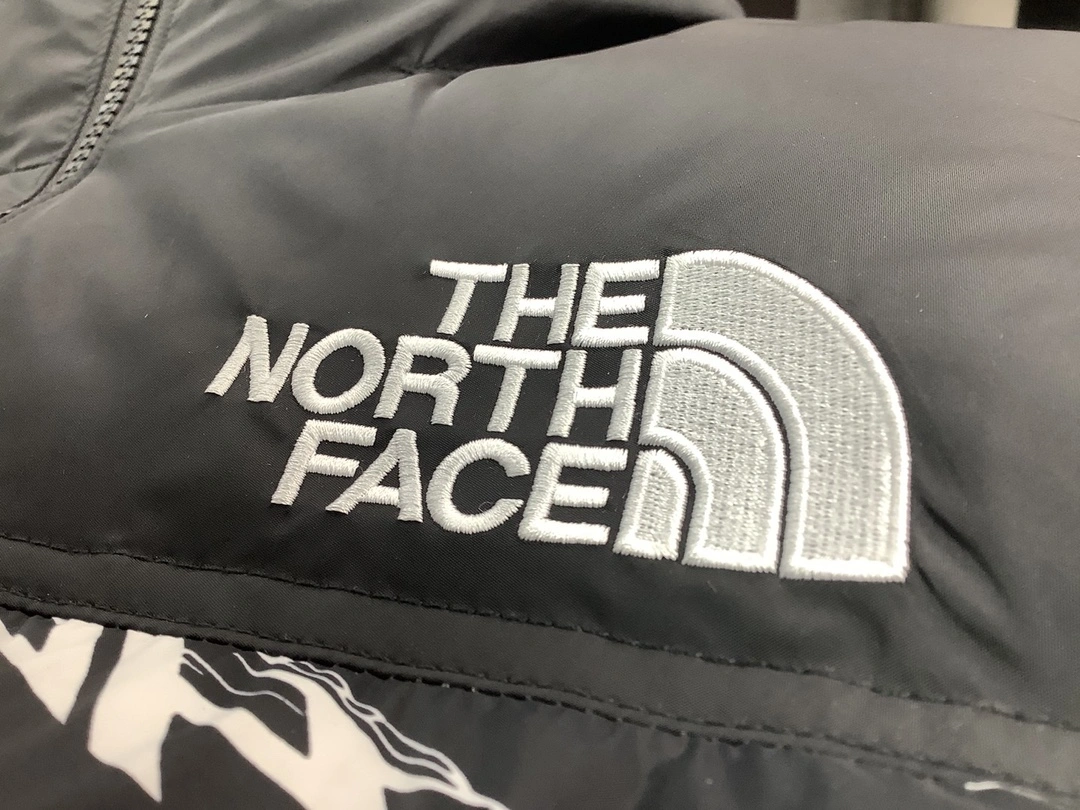The North Face Down Jackets Sustainable 173185