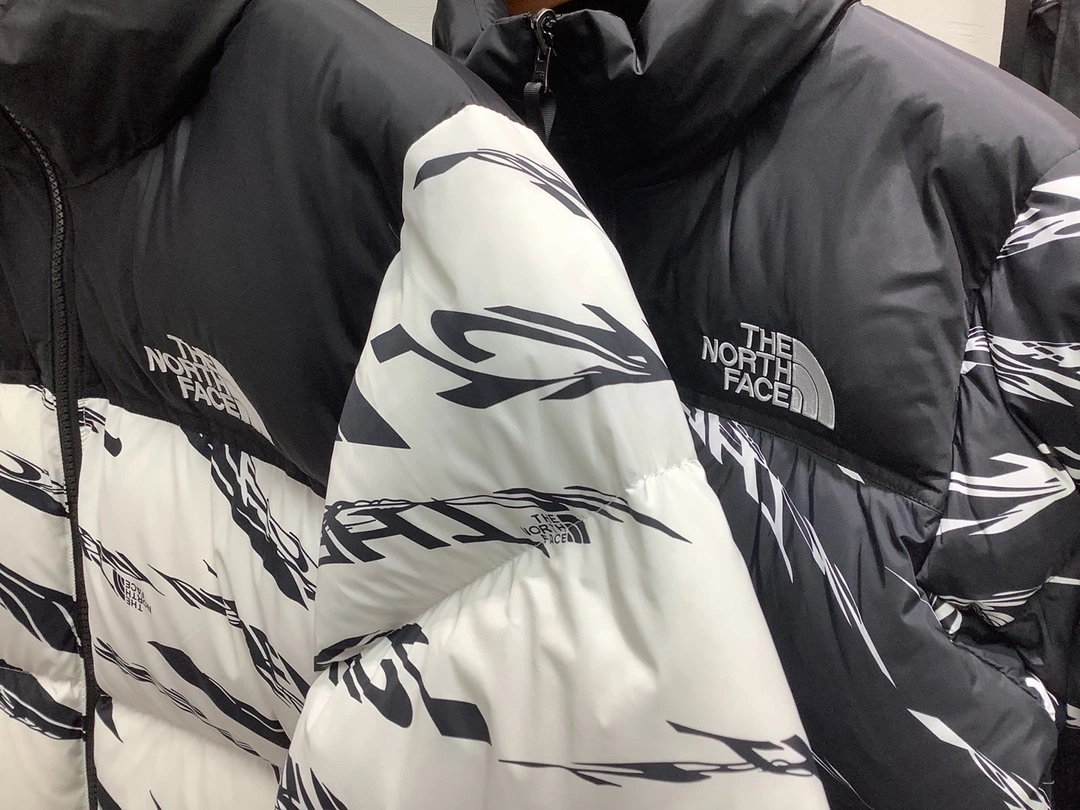 The North Face Down Jackets Sustainable 173185