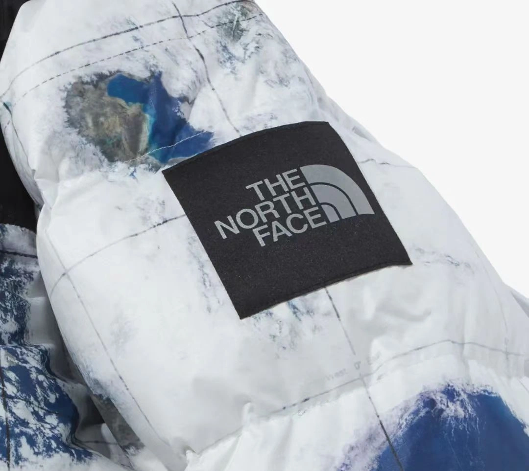 The North Face Down Jackets ModernLook 173177