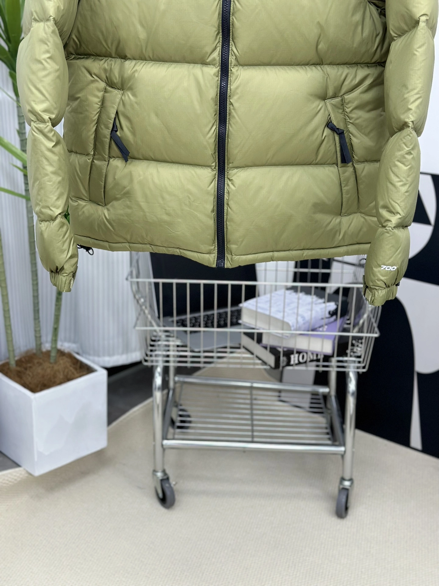 DailyWear The North Face Down Jackets 173166