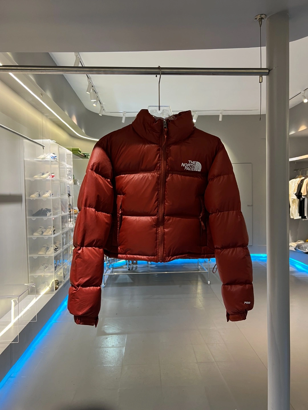 The North Face Down Jackets Bold 173158