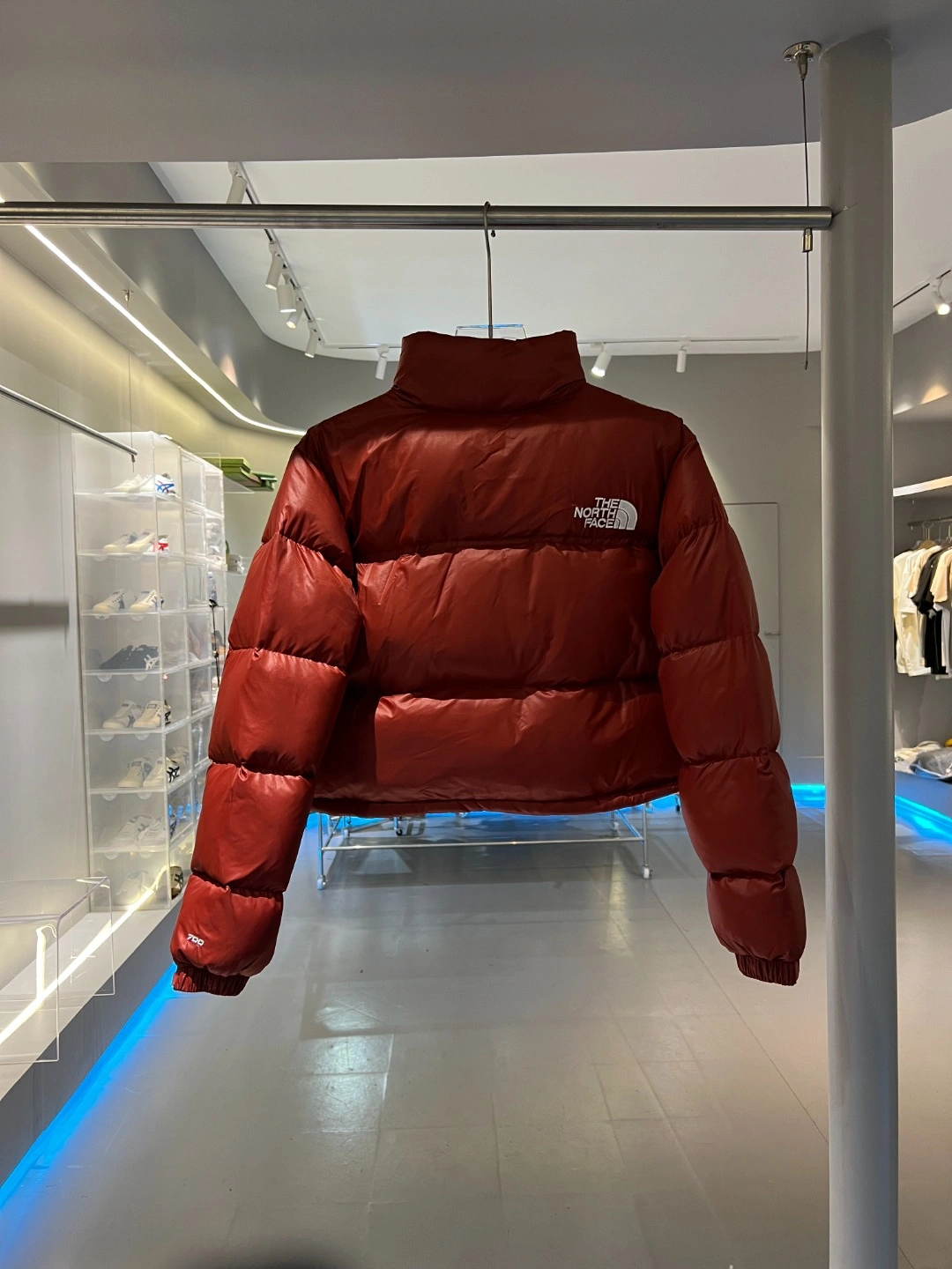 The North Face Down Jackets Bold 173158
