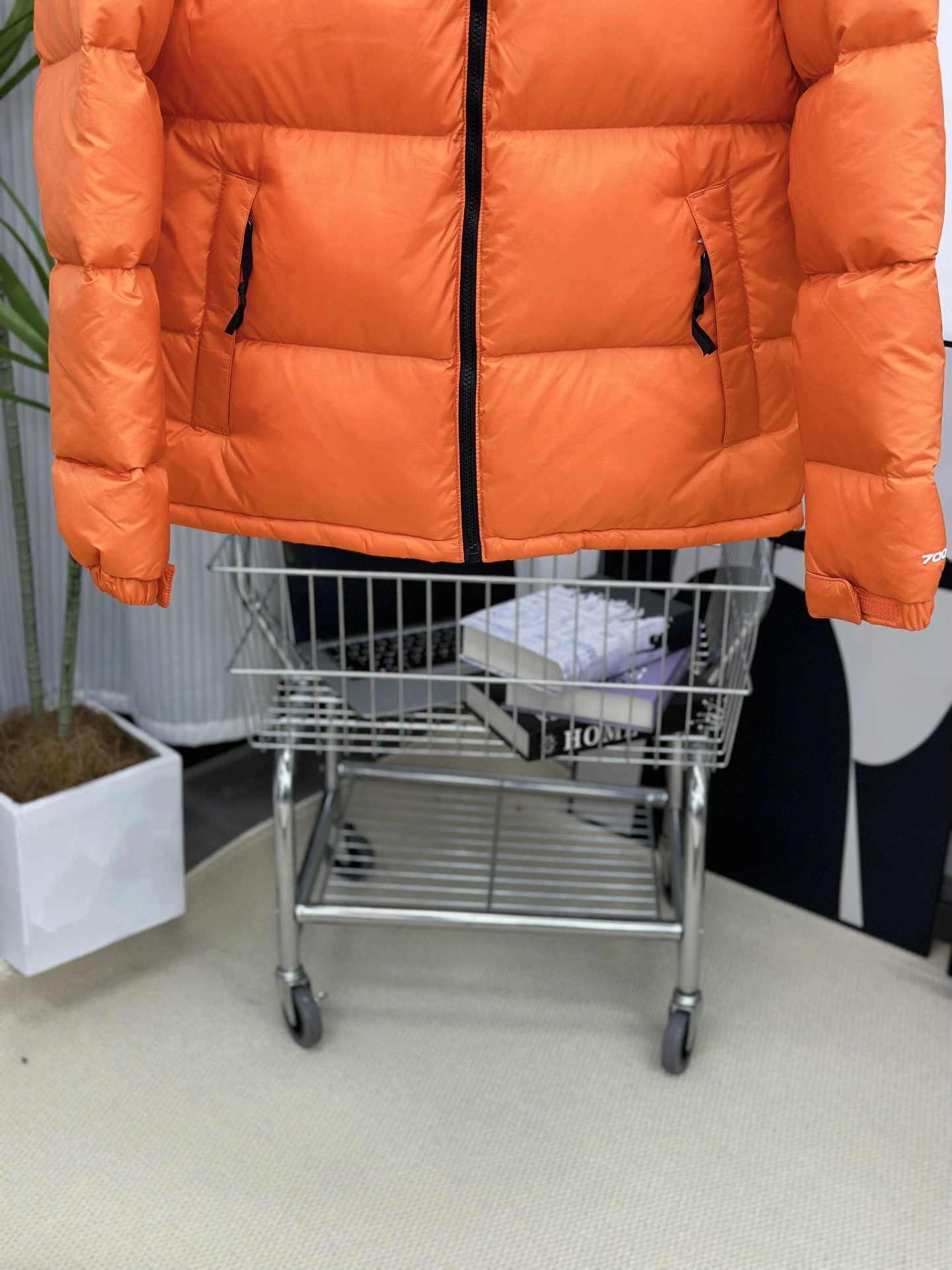 The North Face Down Jackets Attractive 173144