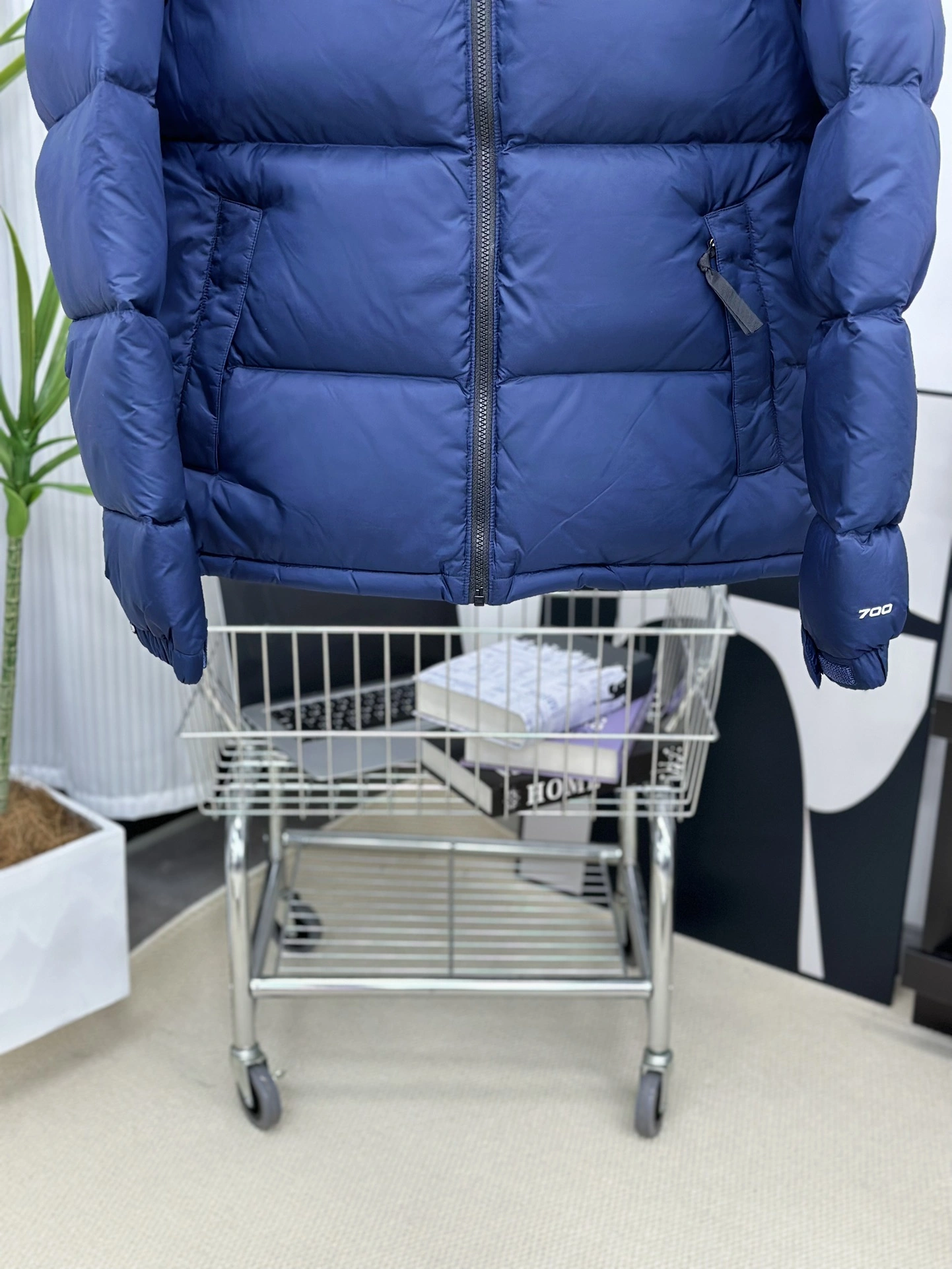 Fashionable The North Face Down Jackets 173139
