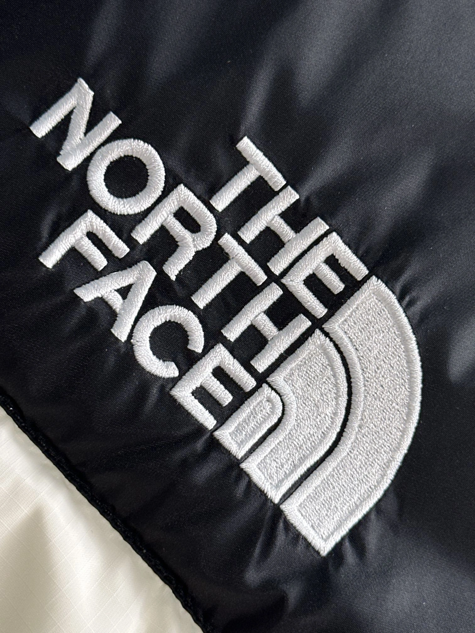 The North Face Down Jackets Youthful 173126