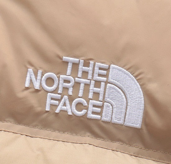 The North Face Down Jackets Resilient 173211