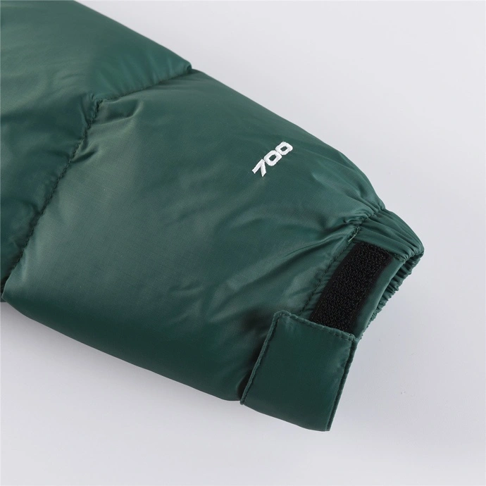 The North Face Down Jackets Thermal 173080